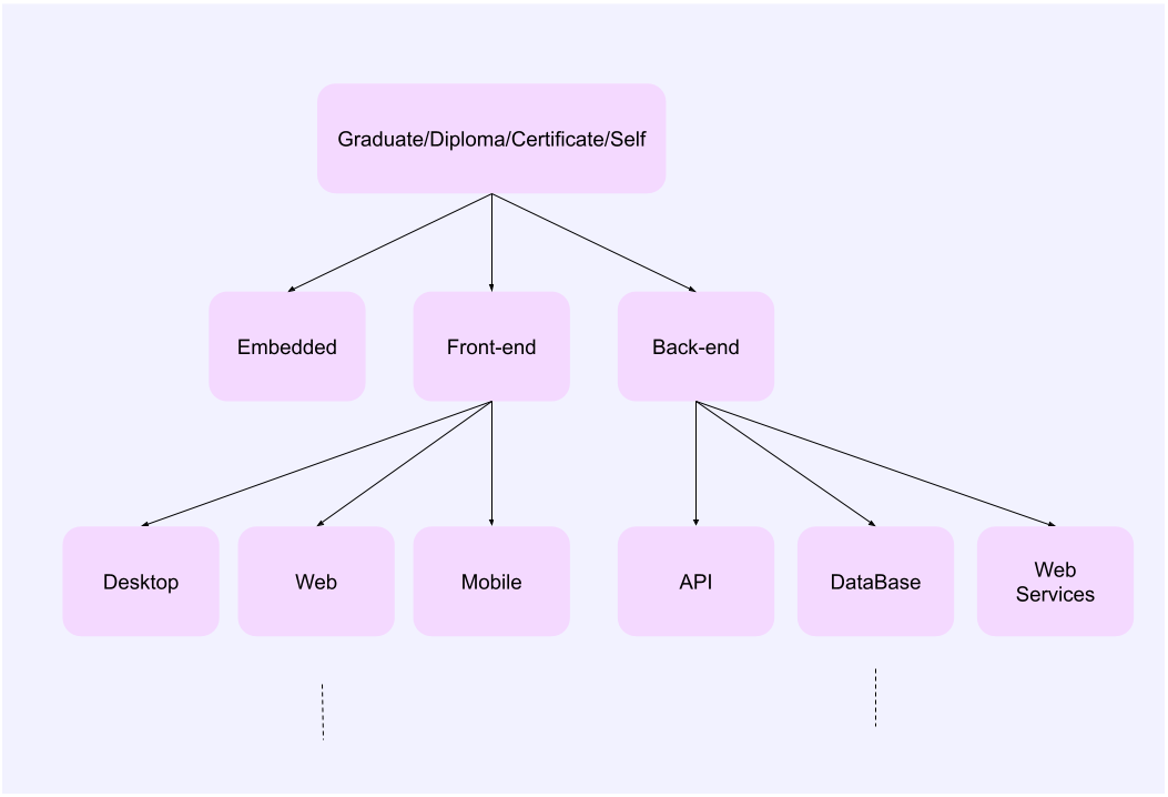 Options in software development